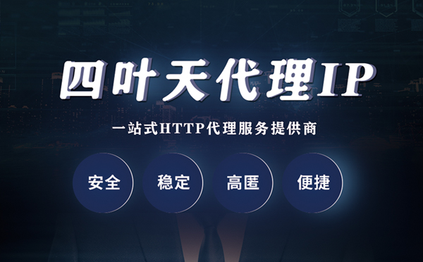 【湛江代理IP】代理ip客户端使用教程