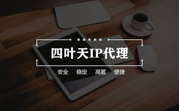 【湛江代理IP】如何快速搭建代理IP？怎么检查代理的效果？